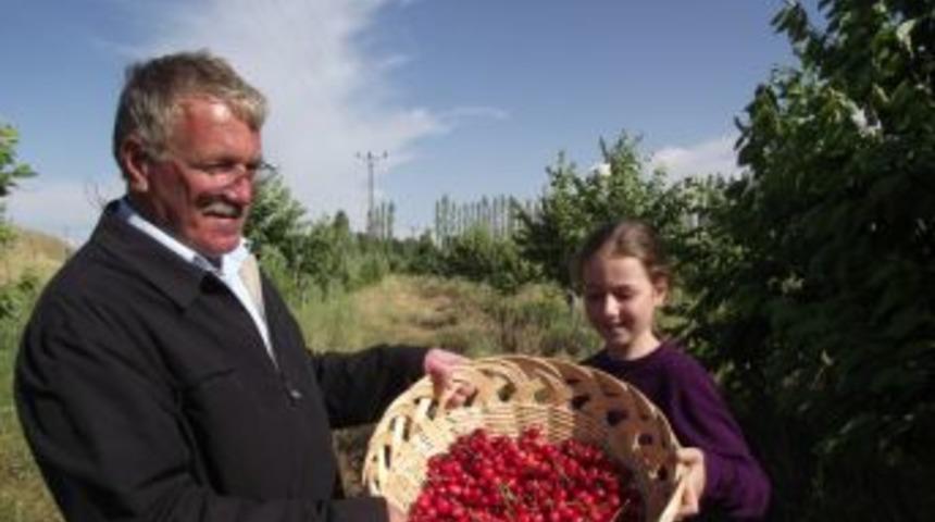 Bağ-Kur emeklisi, kirazdaki y&uuml;zde 60 verimi y&uuml;zde 100'e &ccedil;ıkarmayı planlıyor