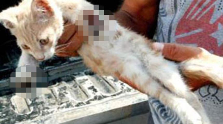 &Ouml;n ayaklarını kestiler