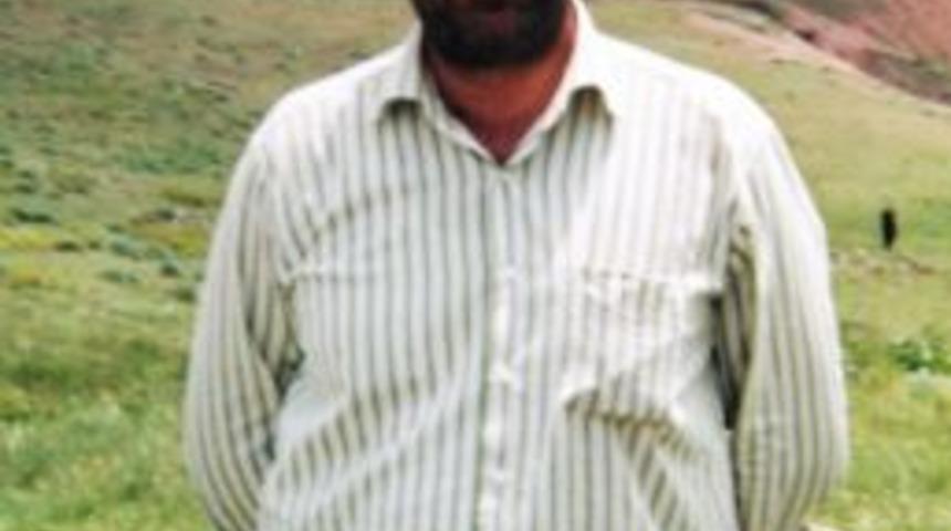 Arı ısırması bir kişinin hayatına mal oldu