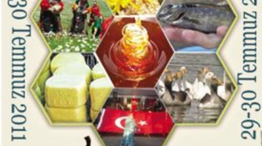 Bal Festivali bu gün başlıyor