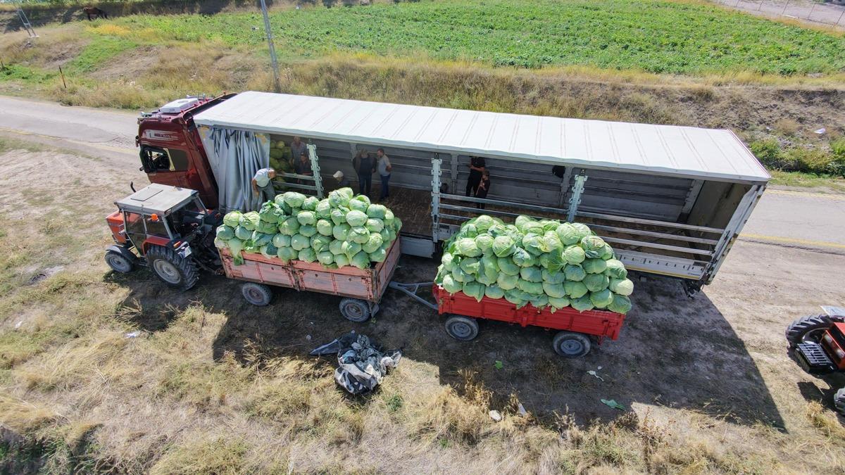 Tek köyde yılda 1 milyon tane yetiştiriliyor: En büyüğü 45 kilogram 1