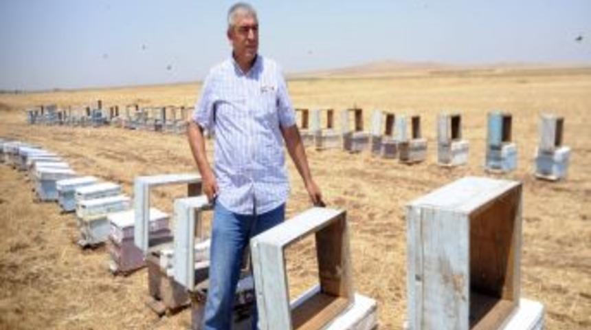 G&uuml;neydoğu&rsquo;da 15 bin kovan arı telef oldu