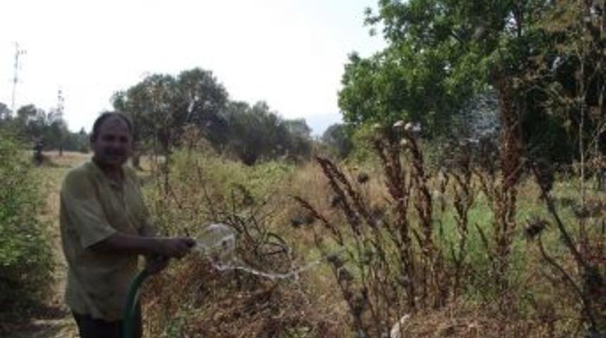 Mandalina bah&ccedil;esinde &ccedil;ıkan yangın korkuttu