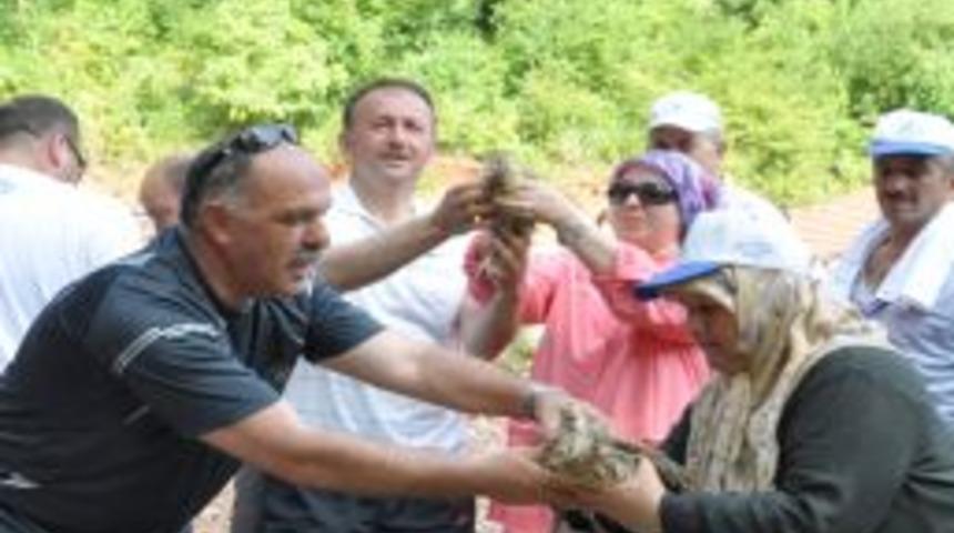 250 s&uuml;l&uuml;n doğaya salındı