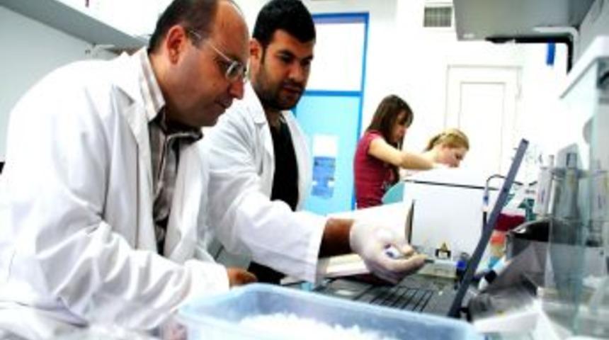 Zeytin sineğiyle m&uuml;cadele başladı