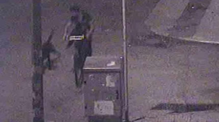 Köpekten kaçarken direğe çarptı