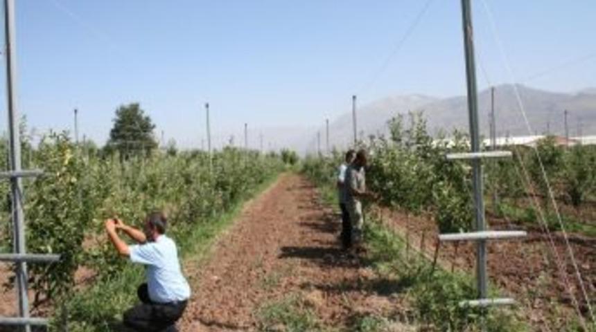 Erzincan Açık Ceza İnfaz Kurumu fabrika gibi üretim yapıyor