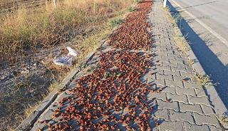 Hisarcık&rsquo;ta elmalar kaldırımlara serildi: İlgin&ccedil; g&ouml;r&uuml;nt&uuml;ler ortaya &ccedil;ıktı