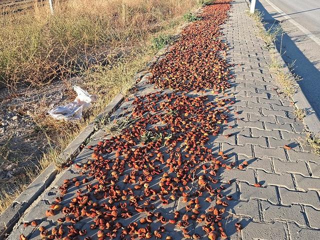 Hisarcık&rsquo;ta elmalar kaldırımlara serildi: İlgin&ccedil; g&ouml;r&uuml;nt&uuml;ler ortaya &ccedil;ıktı