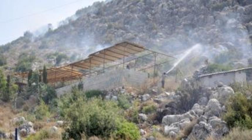 50 hektarlık alan yangında zarar g&ouml;rd&uuml;