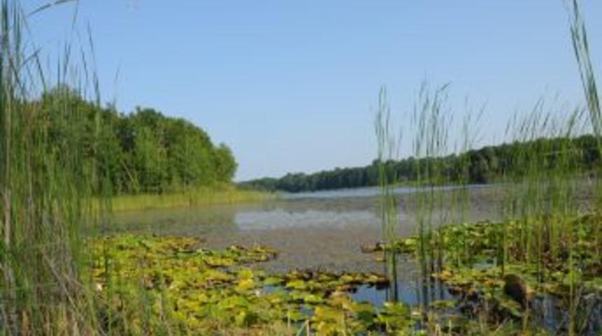 Longoz Ormanları doğa severleri bekliyor