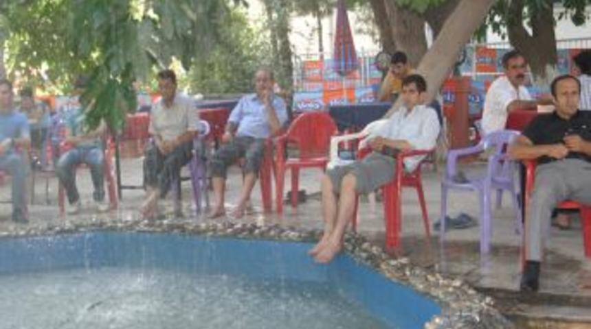 Hem serinliyorlar hem dinleniyorlar