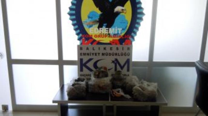 Edremit'te uyuşturucu operasyonu