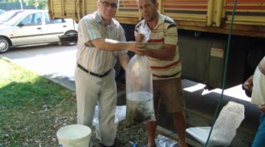 Bursa&rsquo;da g&ouml;l ve g&ouml;letlere 5 yılda 2 milyon 156 bin 350 balık yavrusu bırakıldı