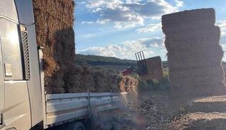 Tekirdağ&rsquo;da Saman balyaları devrildi, 57 yaşındaki adam hayatını kaybetti