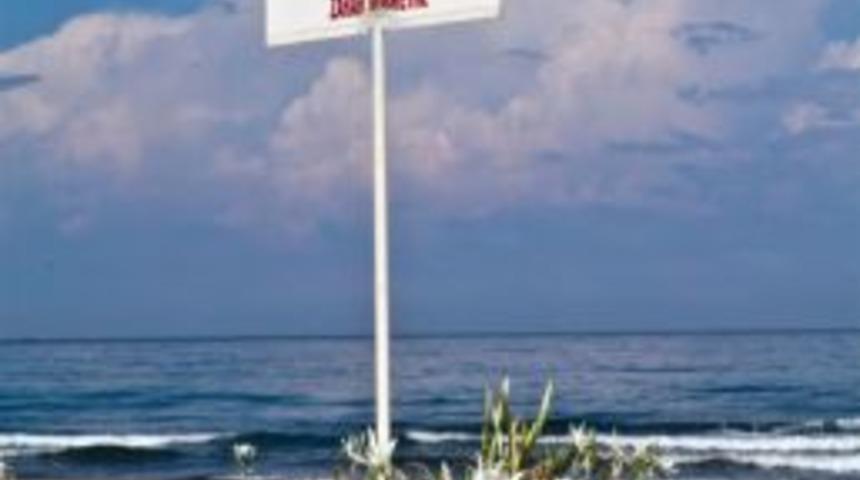 Koruma altına alınan kum zambakları &ccedil;i&ccedil;ek a&ccedil;tı