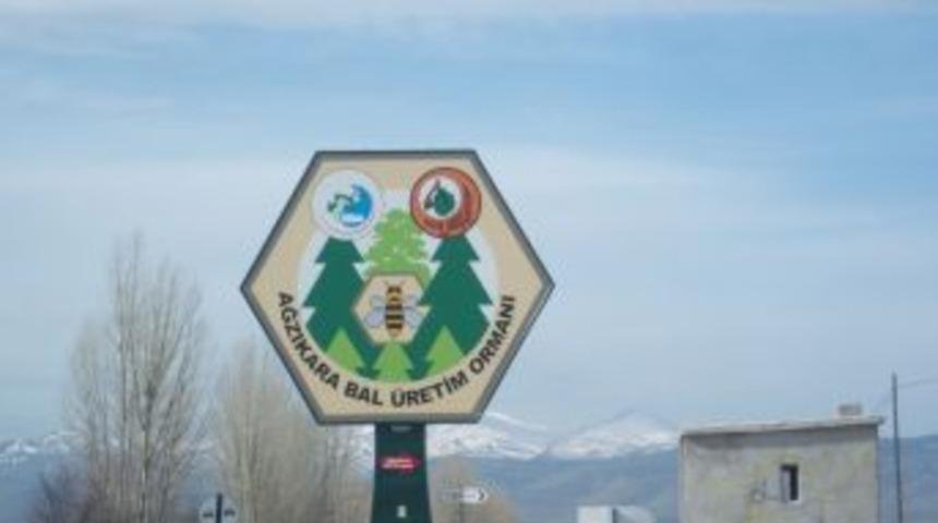 Eroğlu, "Bal Ormanları Projesi'ni hayata ge&ccedil;irdi