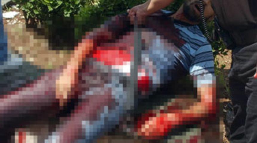 Parkta kardeş dehşeti