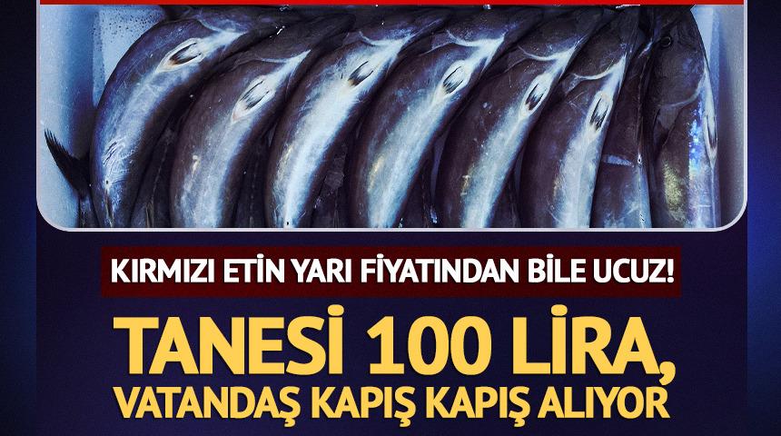 Kırmızı etin yarı fiyatından bile ucuz! Tanesi 100 lira, vatandaş kapış kapış alıyor