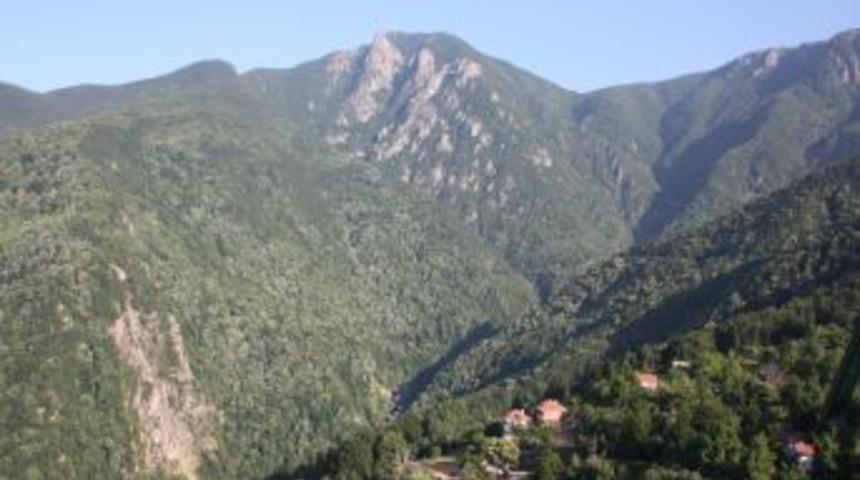 Zeynileri'n k&ouml;y olma isteği İl Genel Meclisi'nde kabul edildi