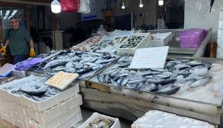 Sinop'ta lakerda hazırlığı: Balık&ccedil;ılar beklemeden tuzluyor