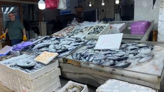 Sinop'ta lakerda hazırlığı: Balıkçılar beklemeden tuzluyor