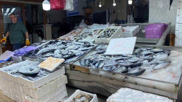Sinop'ta lakerda hazırlığı: Balıkçılar beklemeden tuzluyor