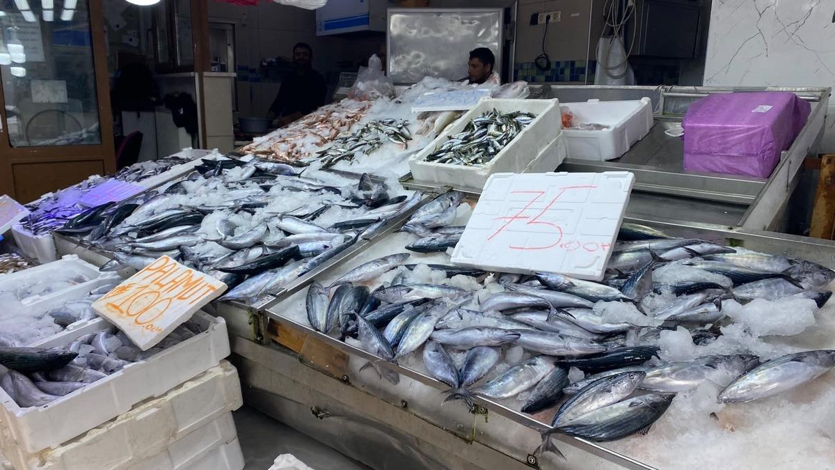 Sinop ta lakerda hazırlığı: Balıkçılar beklemeden tuzluyor 1