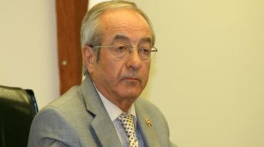 &Ccedil;evre imar planına Muğla İl Genel Meclisi'nden itiraz