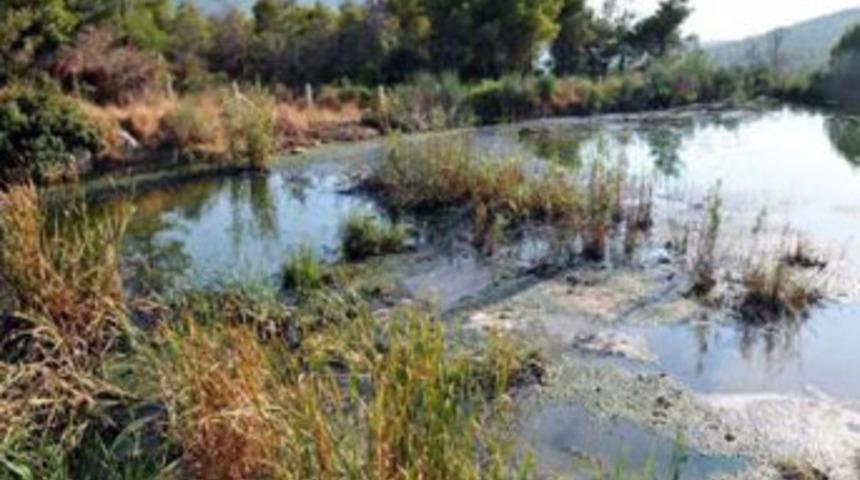 15 bin kişinin atık suyu bu koya akıyor!