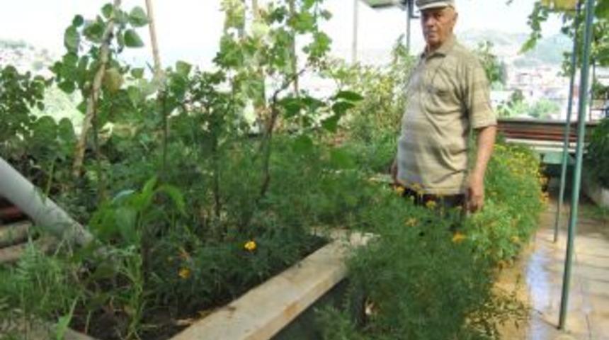 Yurtdışında g&ouml;rd&uuml;, teraskondu bah&ccedil;e yaptı