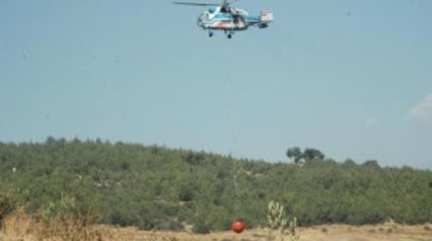 Osmaniye&rsquo;de 2 hektar ormanlık alan yandı