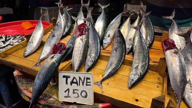 Bandırma&rsquo;da balık tezg&acirc;hlarında palamut bereketi 6