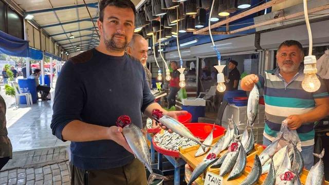 Bandırma&rsquo;da balık tezg&acirc;hlarında palamut bereketi 5