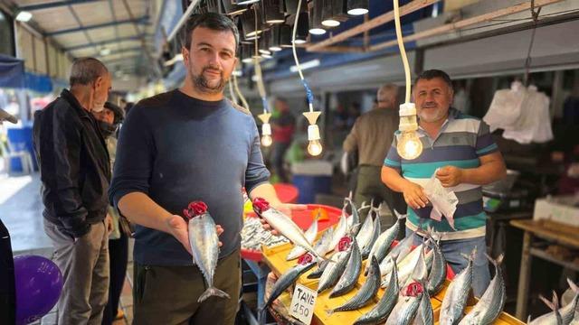 Bandırma&rsquo;da balık tezg&acirc;hlarında palamut bereketi 4