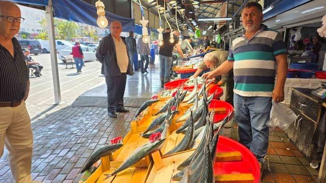 Bandırma&rsquo;da balık tezg&acirc;hlarında palamut bereketi 3