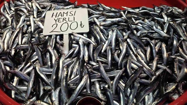 Bandırma&rsquo;da balık tezg&acirc;hlarında palamut bereketi 2