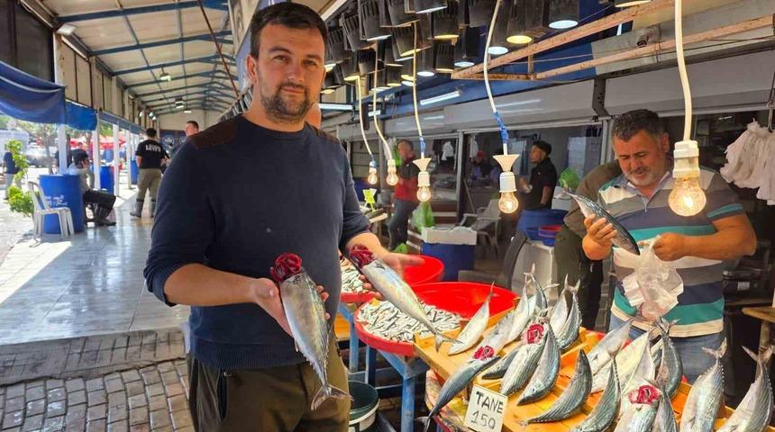 Bandırma&rsquo;da balık tezg&acirc;hlarında palamut bereketi