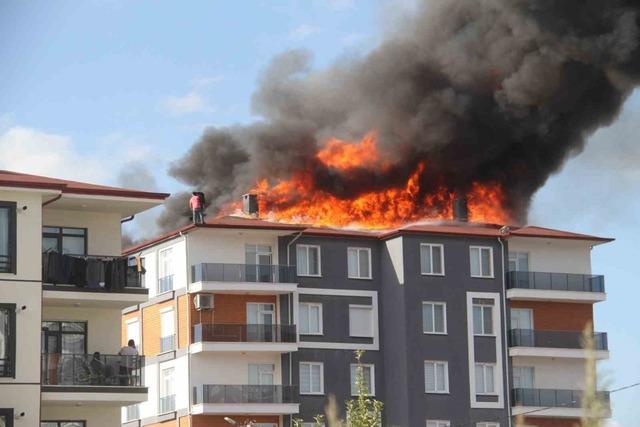Alev alev yanan çatıda can pazarı 3