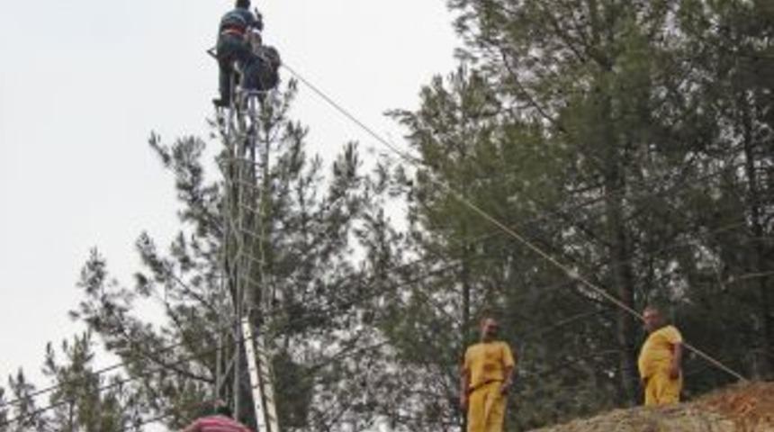 Kozan'da ormanlar kamera ile g&ouml;zetleniyor