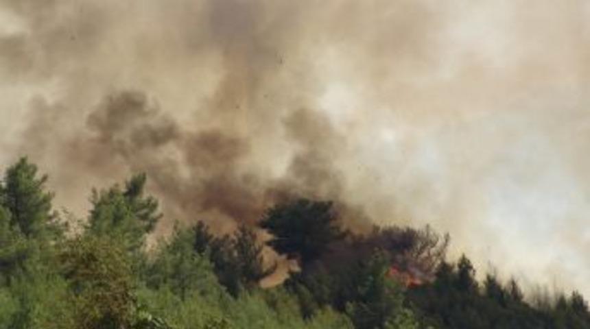 Orman yangınları genelde insan kaynaklı çıkıyor