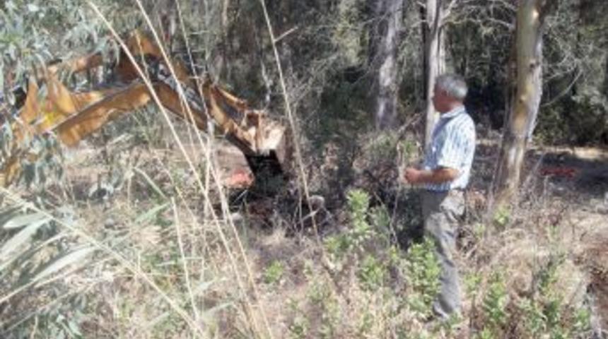 G&uuml;vercinlik&rsquo;teki deniz kirliliği kontrol altına alındı