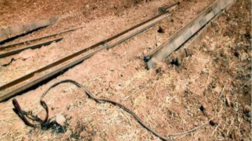 Tren raylarını &ccedil;almaya &ccedil;alışan şebeke &ccedil;&ouml;kertildi