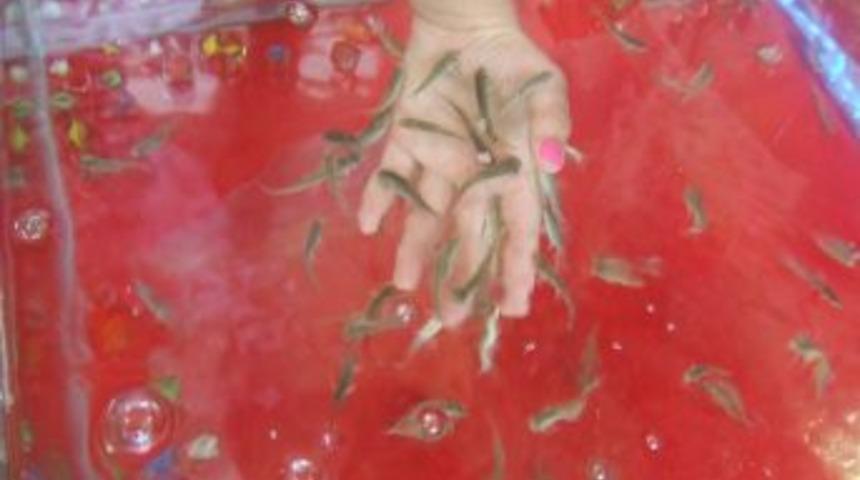 Doktor balıklarla turistlere masaj ve tedavi hizmeti veriliyor