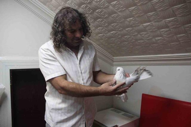 Uzun yol şof&ouml;r&uuml;n&uuml;n sıradışı g&uuml;vercin sevdası: 6 g&uuml;vercininin toplam değeri 700 bin TL 3