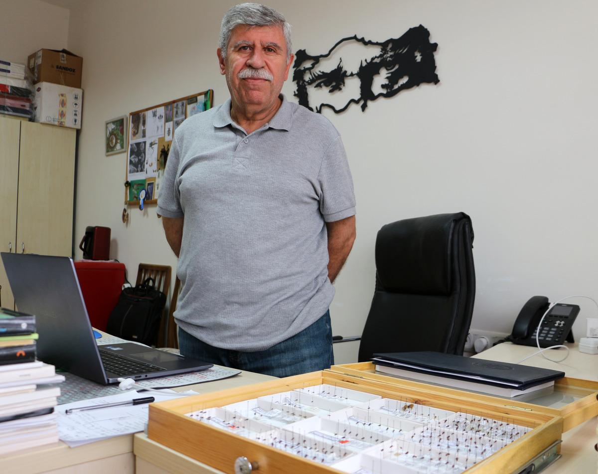 Yeni sinek t&uuml;r&uuml; keşfedildi: &Ouml;len oğlunun adını verdi 1
