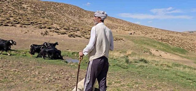 Bursa’dan köyüne döndü, hayvancılıkla geçimini sağlıyor 4