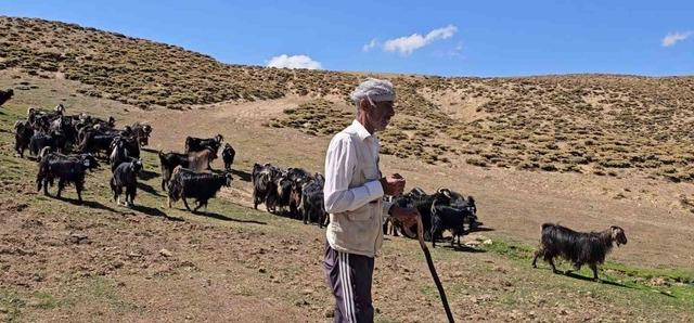 Bursa’dan köyüne döndü, hayvancılıkla geçimini sağlıyor 3