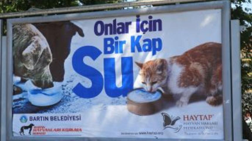 Bartın Belediyesi &lsquo;Onlar i&ccedil;in bir kap su&rsquo; kampanyası başlattı