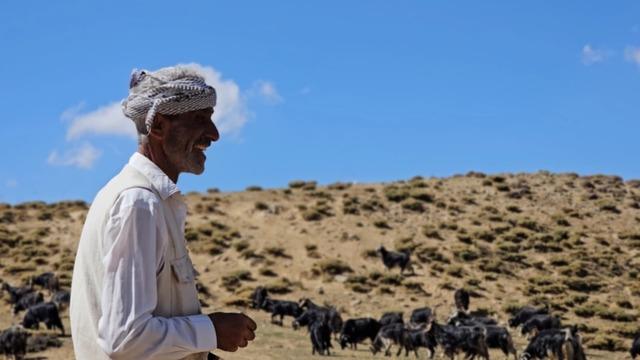 Bursa’dan köyüne döndü, hayvancılıkla geçimini sağlıyor 1